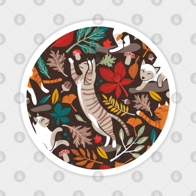 Autumn joy // pattern // brown oak background cats dancing with many leaves in fall colors Magnet by SelmaCardoso